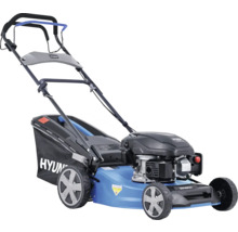 Benzinrasenmäher mit Fangkorb