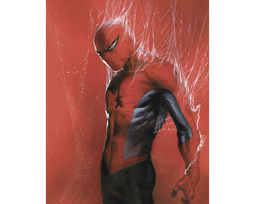 Illustration von Spiderman vor rotem Hintergrund und Spinnennetzen.