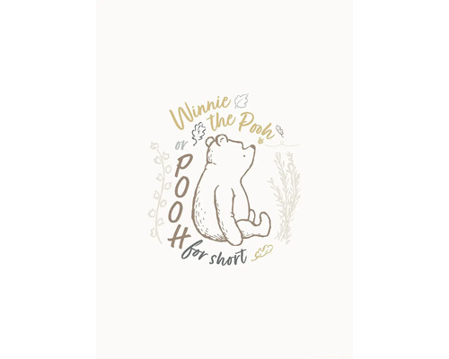 Illustration von Winnie Puuh mit dem Schriftzug Winnie the Pooh
