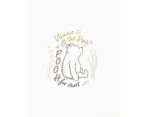 Illustration von Winnie the Pooh mit dem Schriftzug Winnie the Pooh oder kurz Puuh