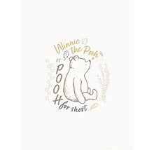 Winnie Puh Illustration