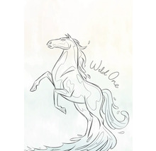 Zeichnung eines sich aufbäumenden Pferdes mit der Aufschrift Wild One.