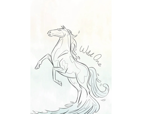 Zeichnung eines sich aufbäumenden Pferdes mit der Aufschrift Wild One.