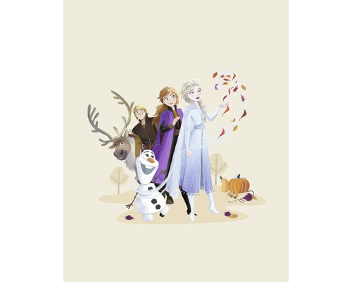 Illustration der Charaktere aus Frozen, darunter Elsa, Anna, Kristoff, Sven und Olaf vor Bäumen und Kürbissen.