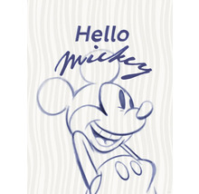 Illustration von Mickey Mouse mit dem Schriftzug Hallo Mickey