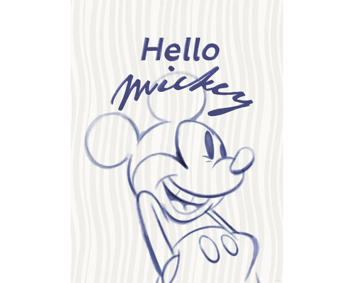 Illustration von Mickey Mouse mit dem Schriftzug Hallo Mickey