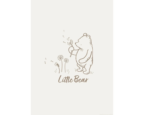 Illustration eines kleinen Bären, der eine Pusteblume hält