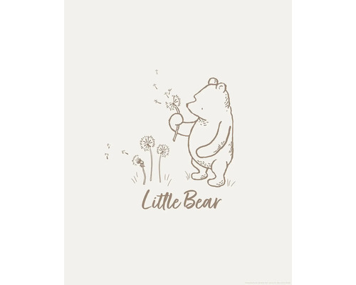 Illustration eines Bären mit Löwenzahn und dem Schriftzug Little Bear