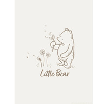Illustration eines Bären mit Pusteblumen und dem Schriftzug Kleiner Bär