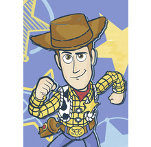 Illustration von Cowboy Woody mit Hut, Hemd, Weste und Gürtel