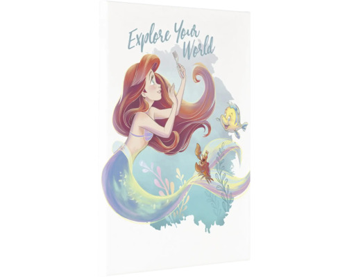 Illustration von Arielle, Fabius und Sebastian mit dem Schriftzug Explore Your World