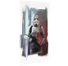 Gemälde eines Stormtroopers aus Star Wars mit Blaster