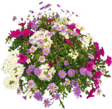 Blumenarrangement mit Margeriten und anderen Blüten