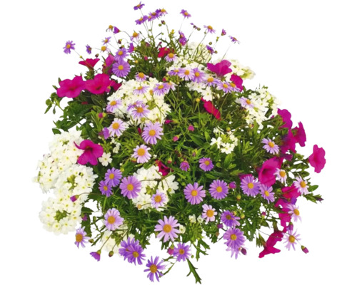 Blumenarrangement mit Margeriten und anderen Blüten