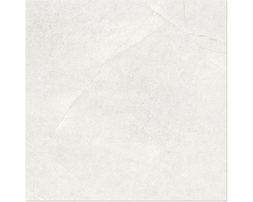 Feinsteinzeug Wand- und Bodenfliese Fantasy 60 cm x 60 cm x 0,95 cm blanco matt rektifiziert Fliese mit Steinoptik