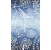 Grafik mit Walen, Seesternen und Algen auf blauem Hintergrund