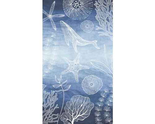 Grafik mit Walen, Seesternen und Algen auf blauem Hintergrund