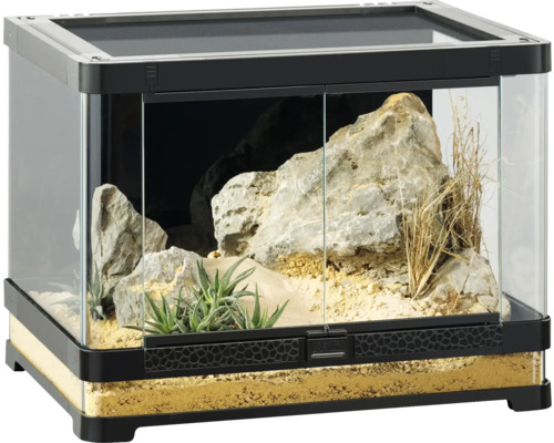 Terrarium mit Glas, Steinen, Pflanzen und Bodengrund