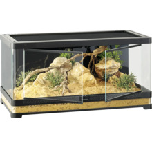 Terrarium mit Felsen, Holz und Pflanzen