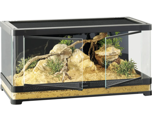 Terrarium mit Felsen, Holz und Pflanzen