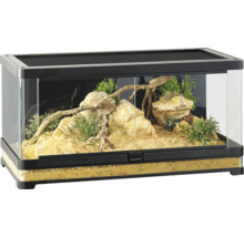 Eingerichtetes Terrarium aus Glas mit Steinen, Sand, Pflanzen und Ästen