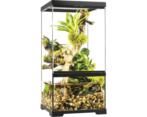 Eingerichtetes Terrarium mit Pflanzen und Wasserbereich.