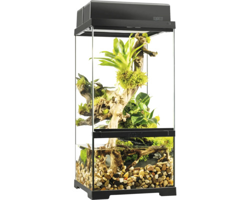 Eingerichtetes Terrarium mit Pflanzen und Steinen