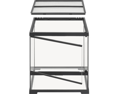 Terrarium aus Glas mit Gitterabdeckung