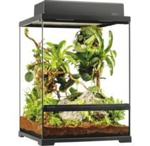 Eingerichtetes Terrarium mit Pflanzen und Bodengrund für Reptilien