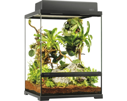 Eingerichtetes Terrarium mit Pflanzen und Bodengrund für Reptilien