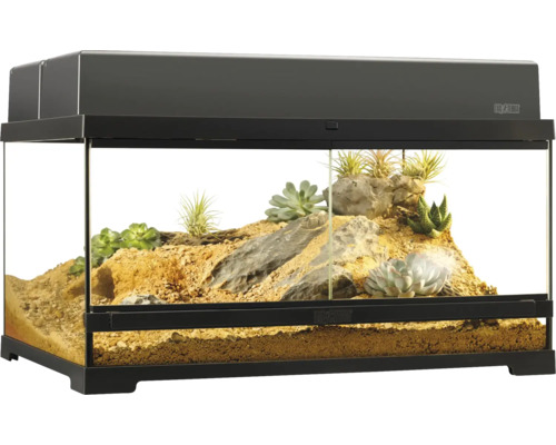 Eingerichtetes Terrarium mit Pflanzen und Steinen