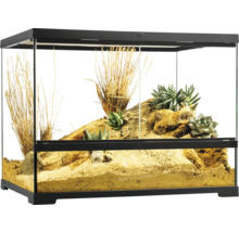 Terrarium mit Pflanzen und Dekoration
