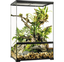 Glasterrarium mit Pflanzen, Holz und Wasser für Reptilien und Amphibien
