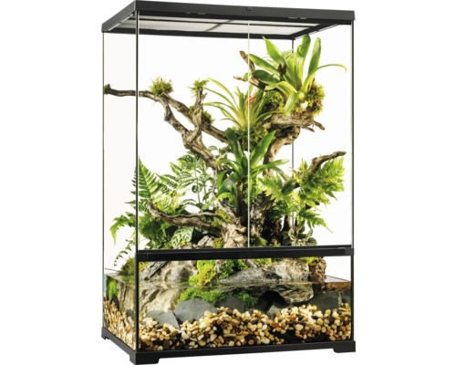 Glasterrarium mit Pflanzen, Holz und Wasser für Reptilien und Amphibien