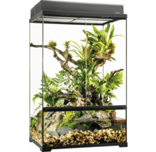 Eingerichtetes Terrarium mit Pflanzen und Wasserbereich