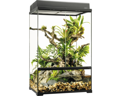 Eingerichtetes Terrarium mit Pflanzen und Wasserbereich
