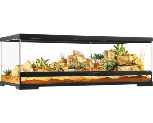 Terrarium mit Steinen und Pflanzen