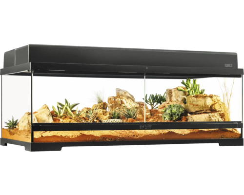 Terrarium mit Wüstenlandschaft, Steinen und Sukkulenten