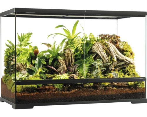 Terrarium mit Bepflanzung und Bodengrund für Reptilien und Amphibien