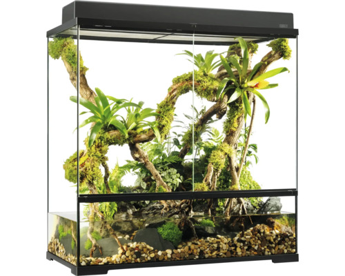 Eingerichtetes Terrarium mit Pflanzen, Wasser und Steinen