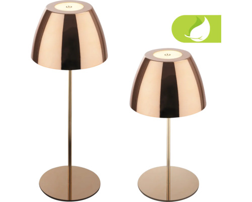 LED Akku Tischleuchte stufenloser Touchdimmer 2,5W 200 lm 2700 K H 36 cm Serina kupferfarbig Zwei bronzefarbene Tischleuchten mit rundem Sockel und Energiesparsymbol