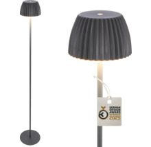 Stehleuchte mit Lampenschirm und Fuß