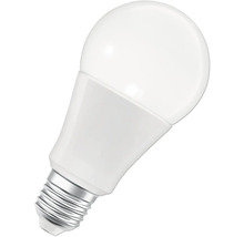 LED Lampe mit E27 Sockel