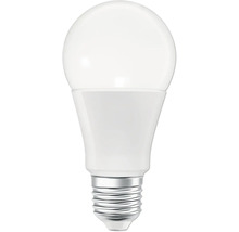 LED Lampe mit Schraubsockel