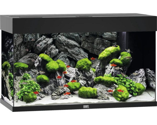 Aquarium JUWEL Rio 125 mit LED-Beleuchtung, Pumpe, Filter, Heizer ohne Unterschrank schwarz Aquarium JUWEL Rio 125 mit LED-Beleuchtung, Pumpe, Filter, Heizer ohne Unterschrank schwarz