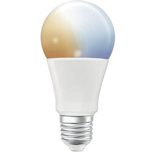 LED Lampe mit Schraubsockel