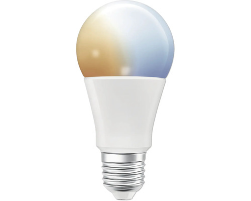 LED Lampe mit Schraubsockel