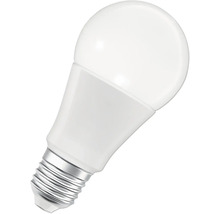 LED-Lampe