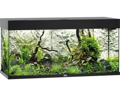 Aquarium JUWEL Rio 180 mit LED-Beleuchtung, Pumpe, Filter, Heizer ohne Unterschrank schwarz Aquarium JUWEL Rio 180 mit LED-Beleuchtung, Pumpe, Filter, Heizer ohne Unterschrank schwarz