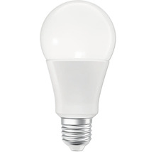 LED-Lampe